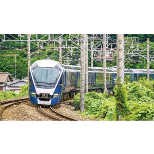 れっしゃだいこうしん2021 キッズバージョン...の詳細画像4