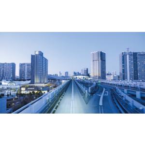 ゆりかもめ デイ&ナイト 新橋〜豊洲/...の詳細画像3