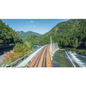 HC85系特急ひだ 名古屋〜岐阜〜富山 ビコム...の詳細画像2