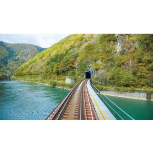 HC85系特急ひだ 名古屋〜岐阜〜富山 ビコム...の詳細画像4