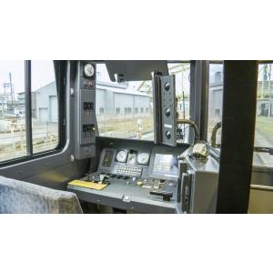 HC85系特急ひだ 名古屋〜岐阜〜富山 ビコム...の詳細画像5