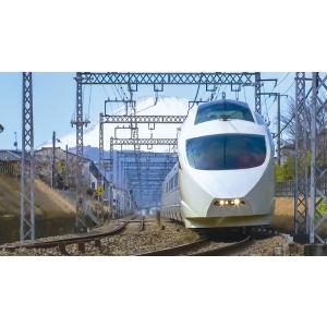 ありがとう小田急ロマンスカー50000形VSE...の詳細画像3