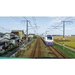 ありがとう最後の485系 臨時快速8621M ...の詳細画像5