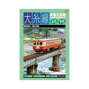 大糸線 非電化区間 上り・下り [DVD]