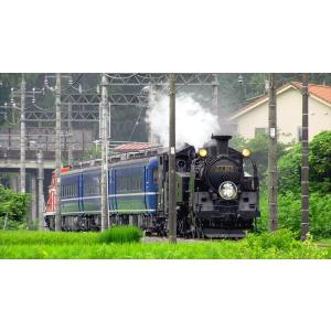 日本列島列車大行進2018 DVD 電車の詳細画像3