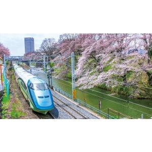 日本列島列車大行進2018 DVD 電車の詳細画像5