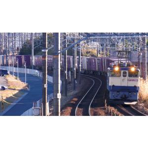 全国周遊!貨物列車大紀行4 中部篇<拡大版> ...の詳細画像2