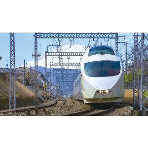 ありがとう小田急ロマンスカー50000形VSE...の詳細画像3