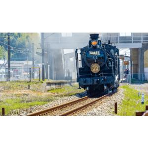 ありがとう 58654号機 大正生まれの蒸気機...の詳細画像1