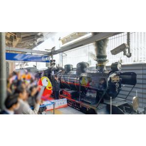 ありがとう 58654号機 大正生まれの蒸気機...の詳細画像4