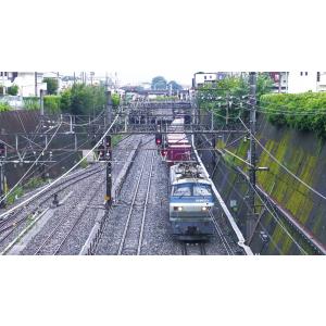 全国周遊!貨物列車大紀行3 首都圏篇II ビコ...の詳細画像2