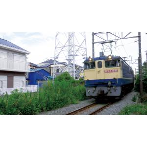 全国周遊!貨物列車大紀行3 首都圏篇II ビコ...の詳細画像5