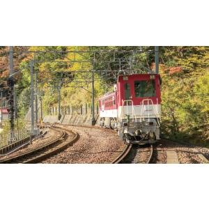 乗れない鉄道に乗ってみた!Vol.4 大井川鐵...の詳細画像1