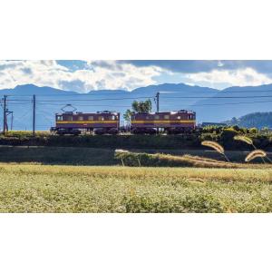 乗れない鉄道に乗ってみた! Vol.5 三岐鉄...の詳細画像2