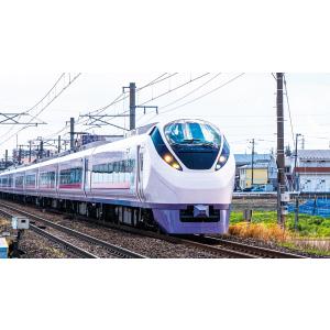 日本列島 列車大行進2021 ブルーレイ ビコ...の詳細画像3