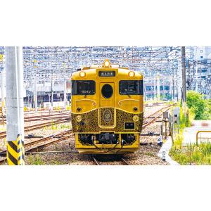 日本列島 列車大行進2021 ブルーレイ ビコ...の詳細画像4