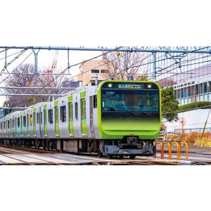 日本列島 列車大行進2021 ブルーレイ ビコ...の詳細画像5