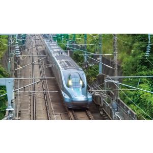 日本列島 列車大行進2024 ビコムストア ブ...の詳細画像4