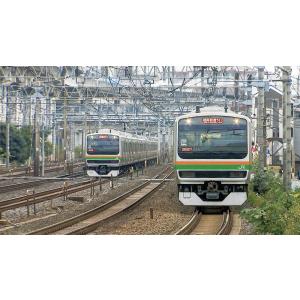 劇場版 列車大行進 〜日本を駆ける列車たち〜 ...の詳細画像2