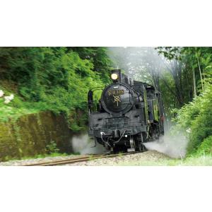 劇場版 列車大行進 〜日本を駆ける列車たち〜 ...の詳細画像4