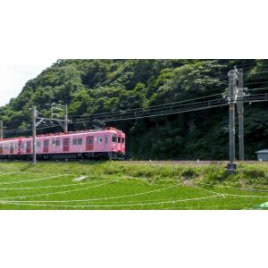 南海電鉄 特急サザン・多奈川線・加太線 ブルー...の詳細画像4