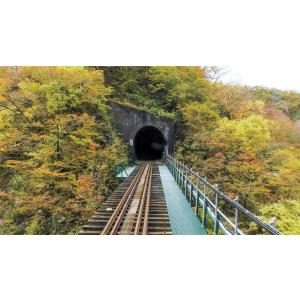 秋のJR陸羽東線 ブルーレイ ビコムストアの詳細画像2