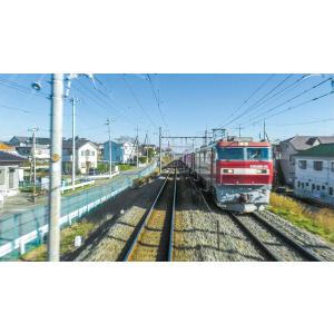 JR烏山線 EV-E301系(ACCUM)&a...の詳細画像1