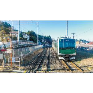 JR烏山線 EV-E301系(ACCUM)&a...の詳細画像4