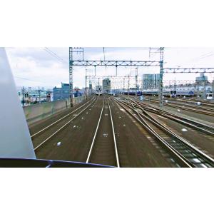 南海電鉄 特急ラピート・高師浜線/泉北高速鉄道...の詳細画像1