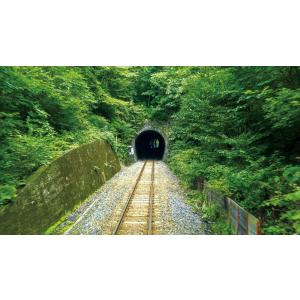 ありがとうキハ40系 JR八戸線 4K撮影 ブ...の詳細画像3