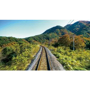新型気動車2600系 特急うずしお 4K撮影作...の詳細画像3