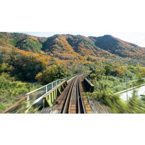新型気動車2600系 特急うずしお 4K撮影作...の詳細画像4