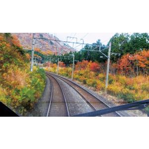 E3系 とれいゆ つばさ 福島〜新庄 ブルーレ...の詳細画像2