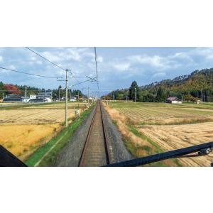 E3系 とれいゆ つばさ 福島〜新庄 ブルーレ...の詳細画像4