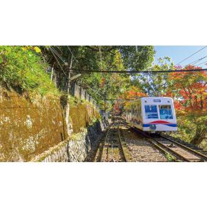 京福電気鉄道 全線往復 嵐電 嵐山本線・北野線...の詳細画像1