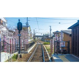 京福電気鉄道 全線往復 嵐電 嵐山本線・北野線...の詳細画像3