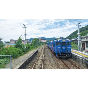 シーサイドライナー キハ66・67形/YC1系...の詳細画像2