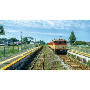 シーサイドライナー キハ66・67形/YC1系...の詳細画像4