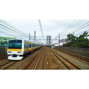 E235系1000番台 横須賀線・総武線快速 ...の詳細画像2