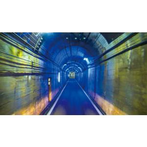 雲上の絶景 立山黒部アルペンルート フルバージ...の詳細画像3