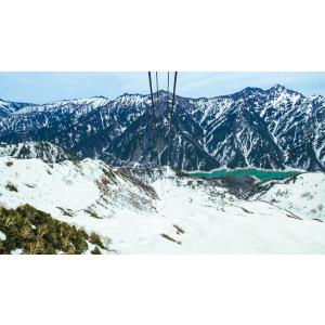 雲上の絶景 立山黒部アルペンルート フルバージ...の詳細画像4