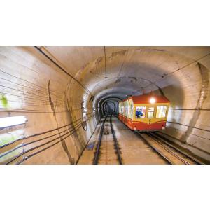 雲上の絶景 立山黒部アルペンルート フルバージ...の詳細画像5