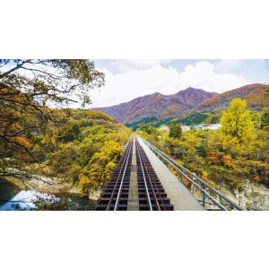 秋の会津鉄道 お座トロ展望列車 会津浪漫風号/...の詳細画像1