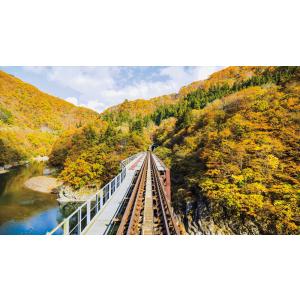 秋の会津鉄道 お座トロ展望列車 会津浪漫風号/...の詳細画像2