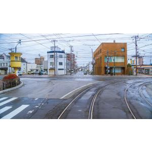 初冬の函館市電 ササラ電車&500形 ブルーレ...の詳細画像2