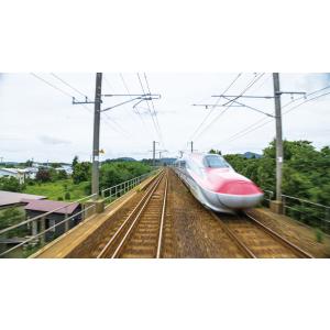 JR奥羽本線 701系 新庄〜秋田 ブルーレイ...の詳細画像4