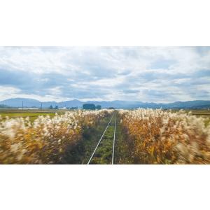 祝!全線運行再開 JR只見線 小出〜会津若松 ...の詳細画像4