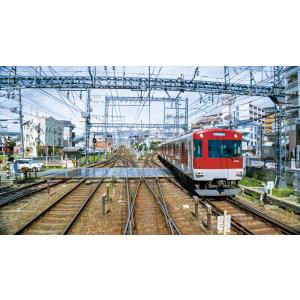 近鉄19200系 あをによし 大阪難波〜近鉄奈...の詳細画像2