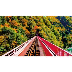 錦秋の旅路 黒部峡谷鉄道 トロッコ電車 宇奈月...の詳細画像1