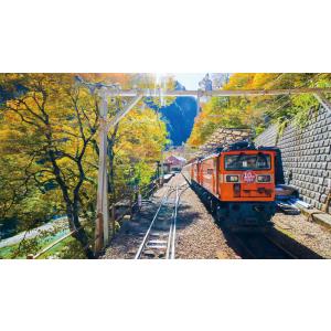 錦秋の旅路 黒部峡谷鉄道 トロッコ電車 宇奈月...の詳細画像3